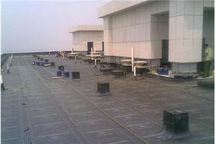 洛陽家裝公司排名